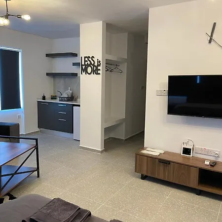 Mr. In Ortakoy , North + Wifi + Netflix アパート *