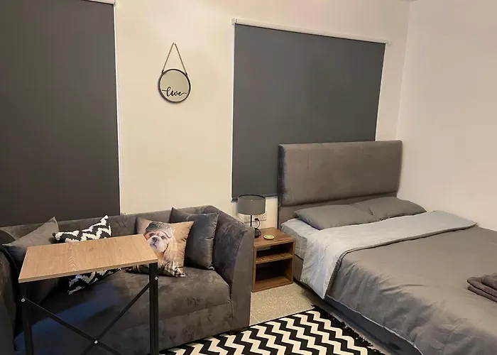 Mr. In Ortakoy , North + Wifi + Netflix 公寓